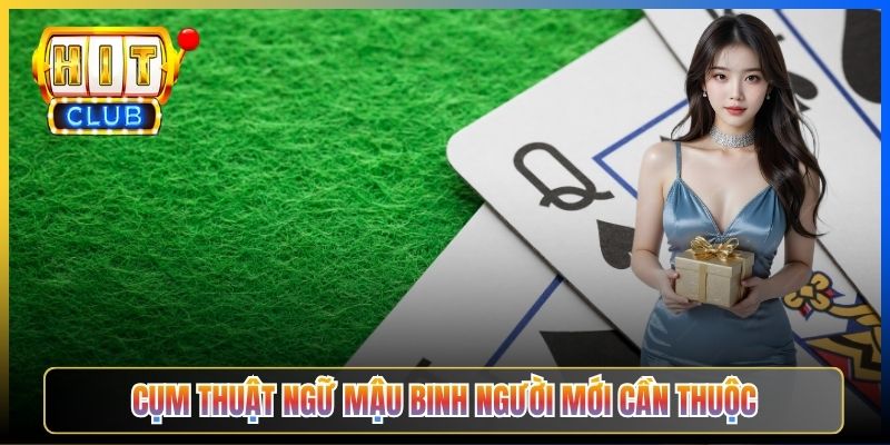 Cụm thuật ngữ Mậu Binh người mới cần thuộc
