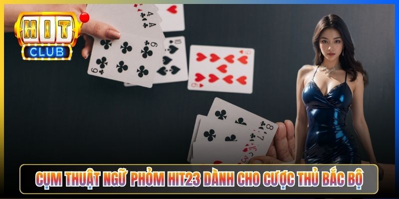 Cụm thuật ngữ Phỏm Hit23 dành cho cược thủ Bắc Bộ