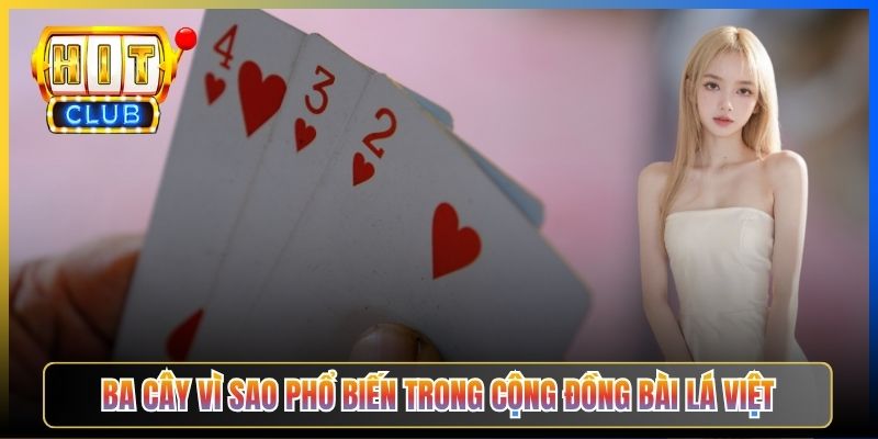 Ba Cây vì sao phổ biến trong cộng đồng bài lá Việt
