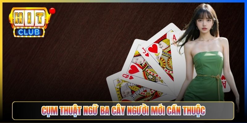 Cụm thuật ngữ Ba Cây người mới cần thuộc