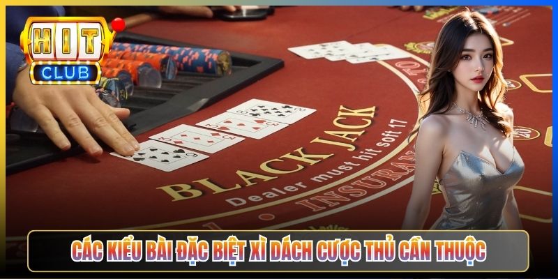 Các kiểu bài đặc biệt Xì Dách cược thủ cần thuộc