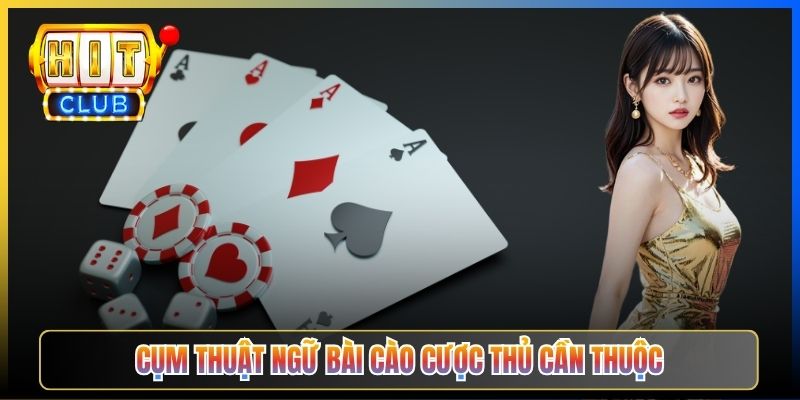 Cụm thuật ngữ Bài Cào cược thủ cần thuộc