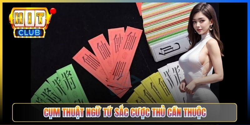 Cụm thuật ngữ Tứ Sắc cược thủ cần thuộc