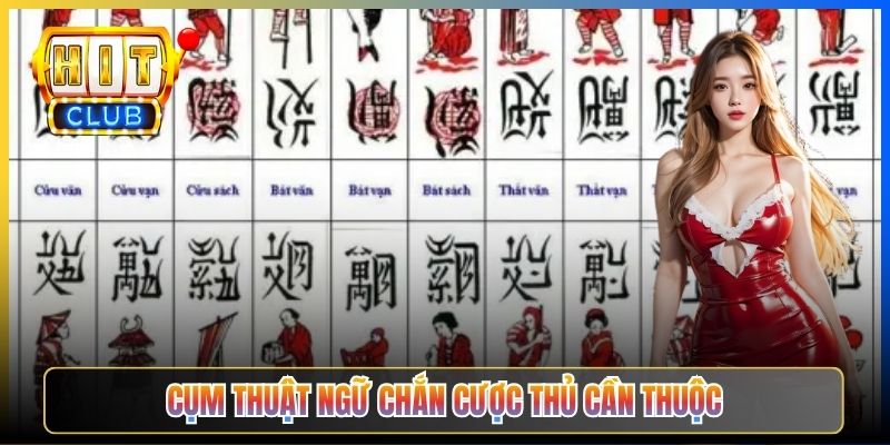 Cụm thuật ngữ Chắn cược thủ cần thuộc