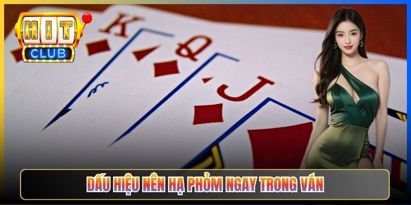 Dấu hiệu nên hạ phỏm ngay trong ván