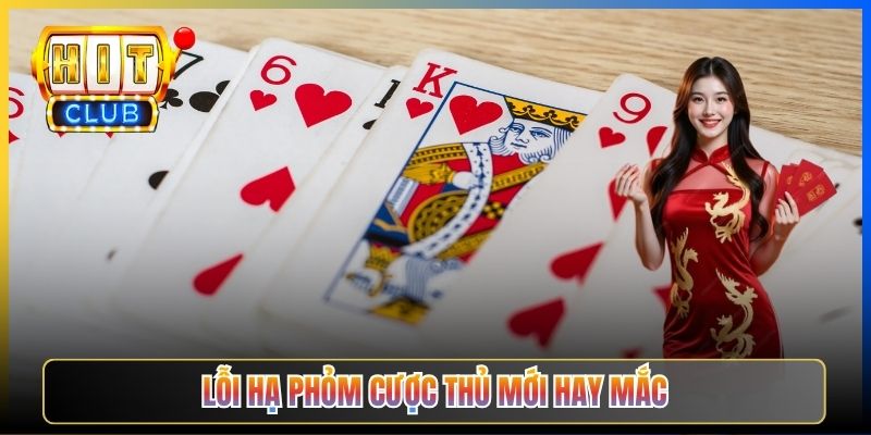 Lỗi hạ phỏm cược thủ mới hay mắc