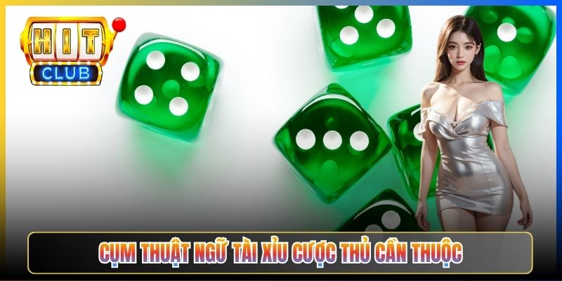 Tài Xỉu Hit23 — Sảnh Lắc Xí Ngầu Bổ Trợ Bên Cạnh Sảnh Bài Lá Cho Cược Thủ Đổi Gió 2026 4 Cụm thuật ngữ Tài Xỉu cược thủ cần thuộc