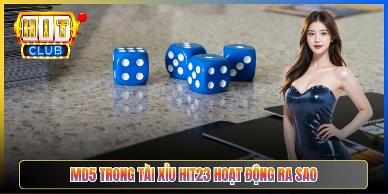MD5 trong Tài Xỉu Hit23 hoạt động ra sao