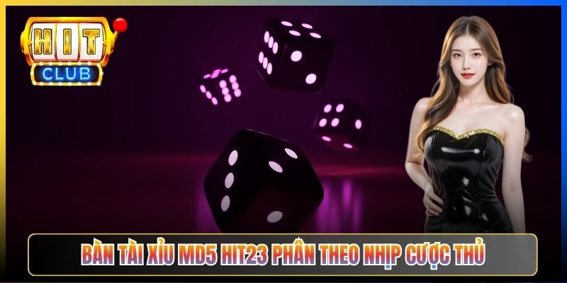 Bàn Tài Xỉu MD5 Hit23 phân theo nhịp cược thủ