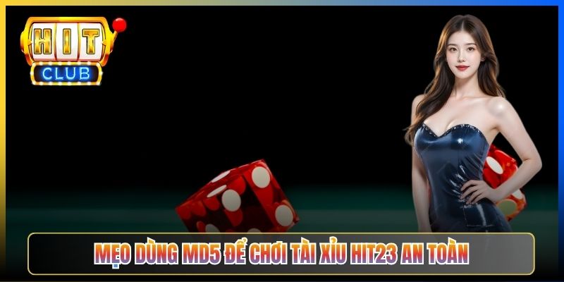 Mẹo dùng MD5 để chơi Tài Xỉu Hit23 an toàn