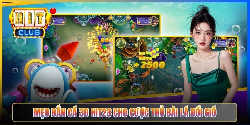Mẹo Bắn Cá 3D Hit23 cho cược thủ bài lá đổi gió