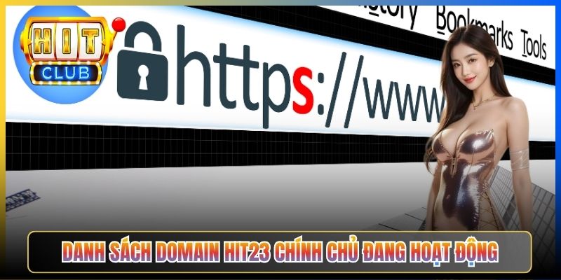 Danh sách domain Hit23 chính chủ đang hoạt động