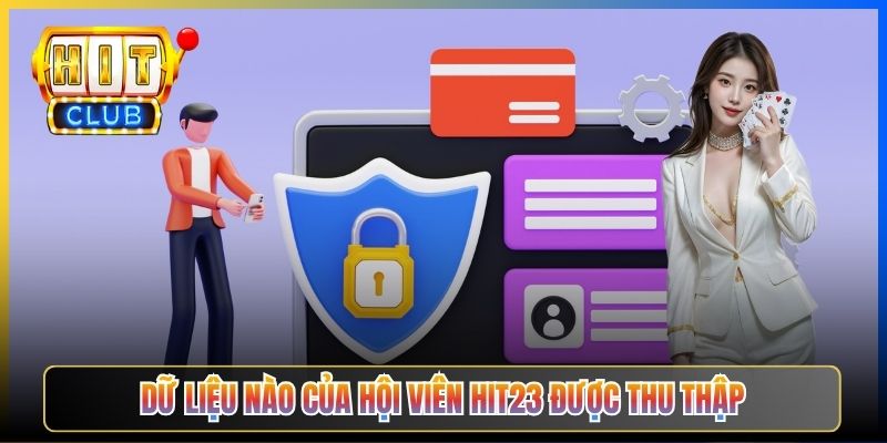 Dữ liệu nào của hội viên Hit23 được thu thập